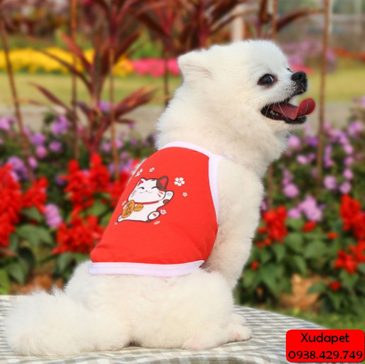 ÁO 2 DÂY VIỀN MÀU HỌA TIẾT ĐÁNG YÊU CHO CHÓ MÈO (GIAO MÀU NGẪU NHIÊN)