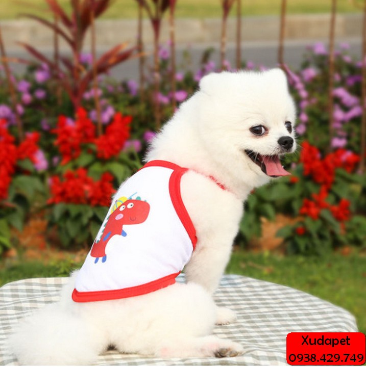 ÁO 2 DÂY VIỀN MÀU HỌA TIẾT ĐÁNG YÊU CHO CHÓ MÈO (GIAO MÀU NGẪU NHIÊN)