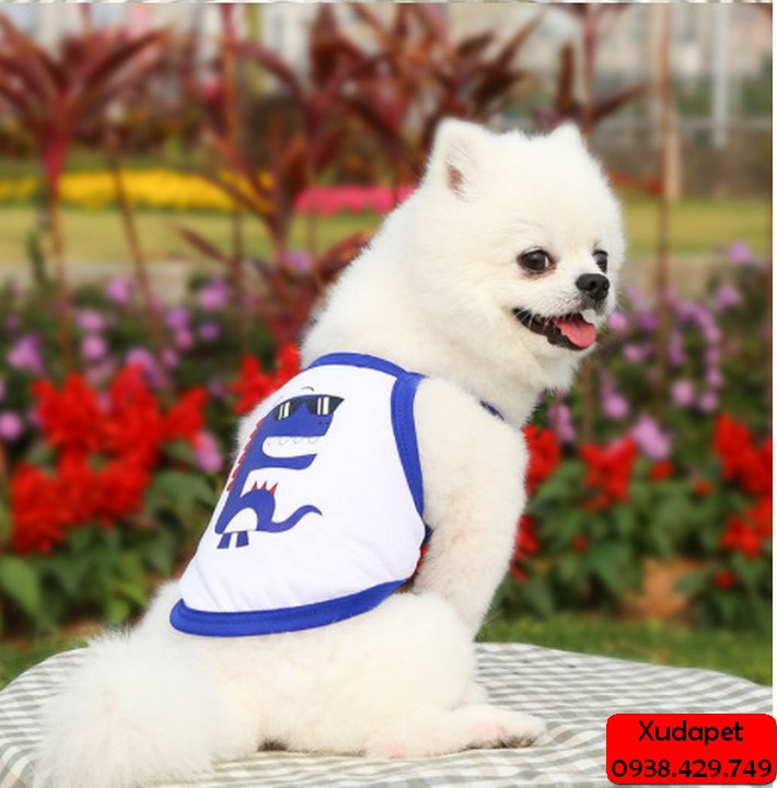 ÁO 2 DÂY VIỀN MÀU HỌA TIẾT ĐÁNG YÊU CHO CHÓ MÈO (GIAO MÀU NGẪU NHIÊN)