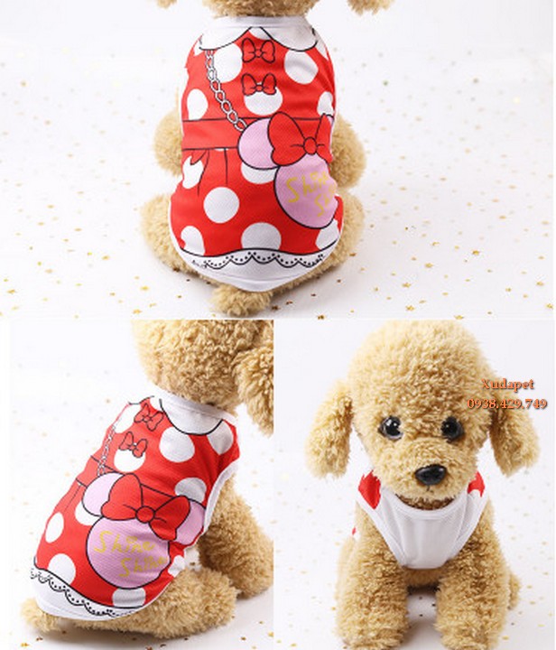 ÁO 3 LỖ HOẠT HÌNH CHO CHÓ MÈO (MÀU NGẪU NHIÊN)
