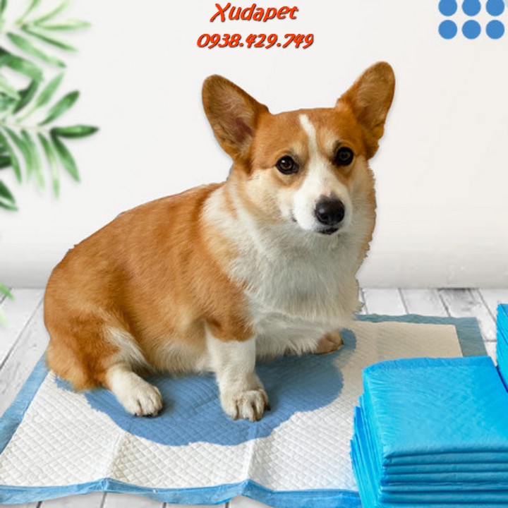 Bịch Tả Lót Chuồng Cho Chó Đi Vệ Sinh Theo Size