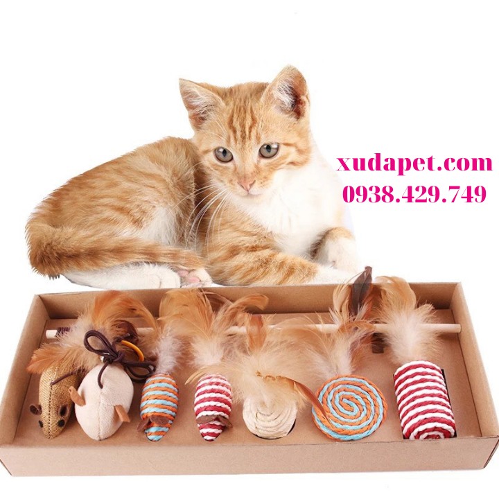 Hộp Bộ đồ chơi cho mèo 7 món