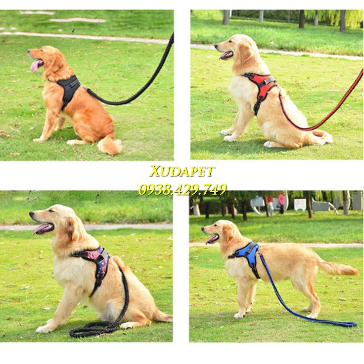 Đai Yếm Cho Chó Lớn