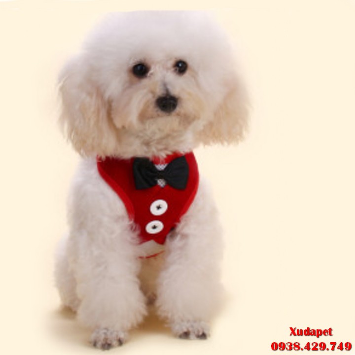 Dây Đeo Ngực Hình Áo Vest (GIAO MÀU NGẪU NHIÊN)