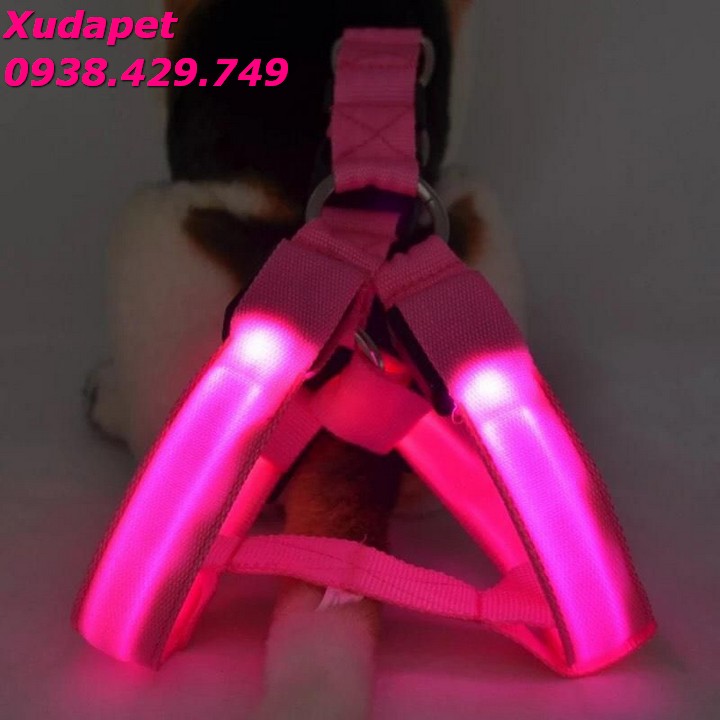 Dây Dắt Có Đèn Phát Quang