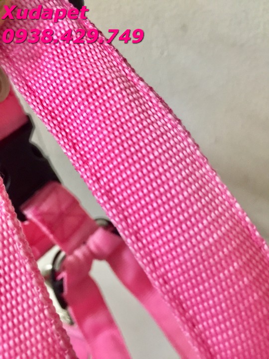 Dây Dắt Có Đèn Phát Quang