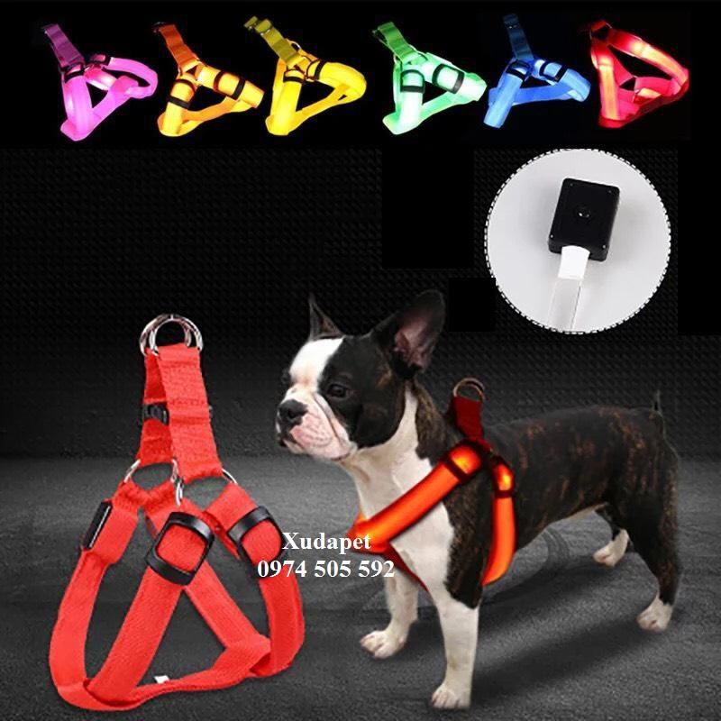 Dây Dắt Có Đèn Phát Quang