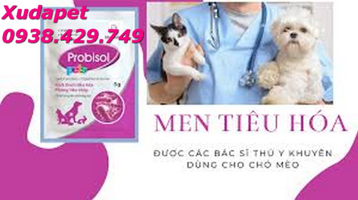 MEN TIÊU HÓA CHO CHÓ MÈO PROBISOL