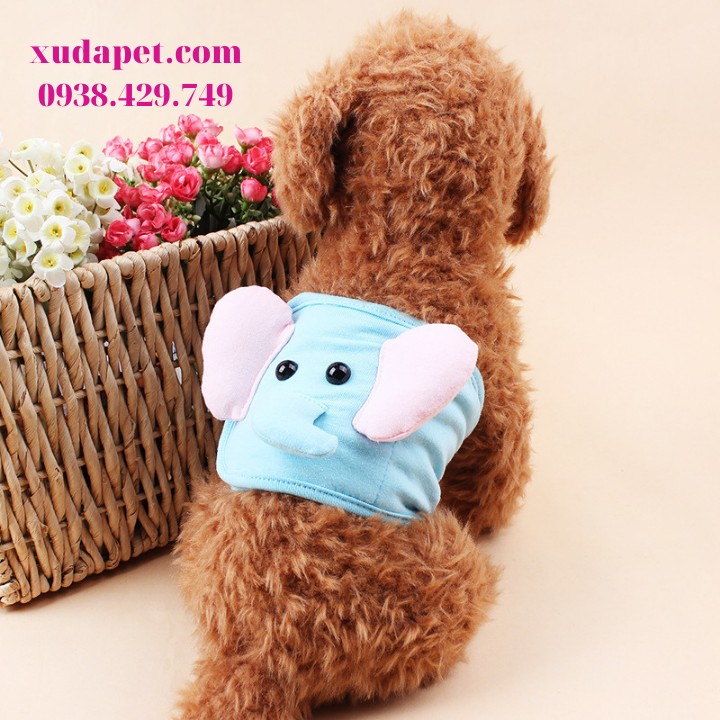 Tã cho chó đực Xudapet