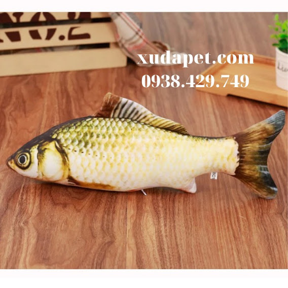Cá Nhồi Bông 3D