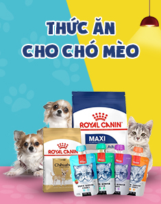 Thức ăn cho chó mèo