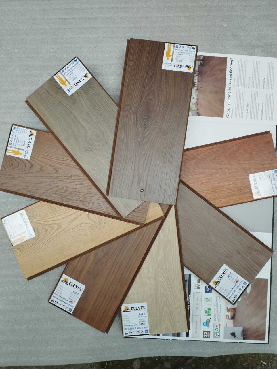 sàn gỗ Clevel
