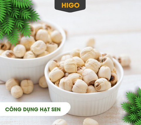 công dụng của hạt sen