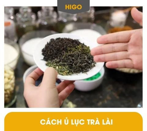 cách pha lục trà lài