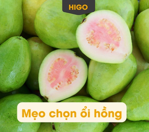 mẹo chon mua trà ổi hồng