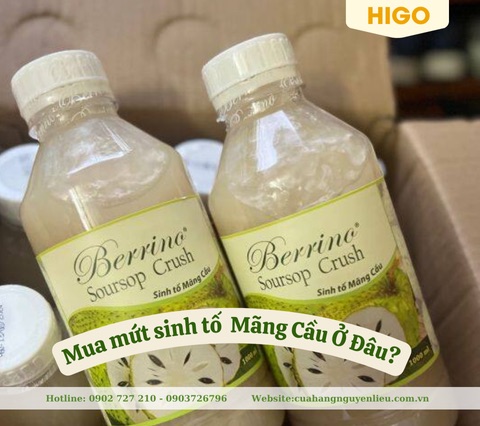 mua mứt sinh tố mãng cầu berrino ở đâu