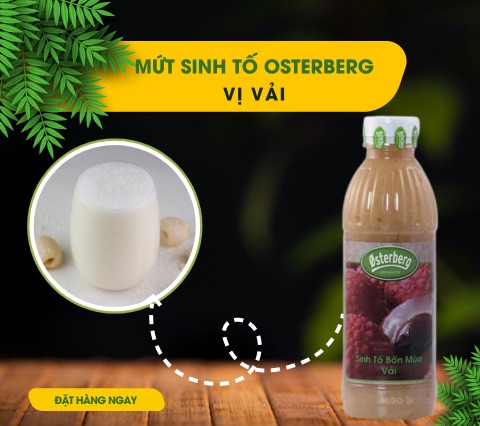 giới thiệu về mứt sinh tố vị vải osterberg
