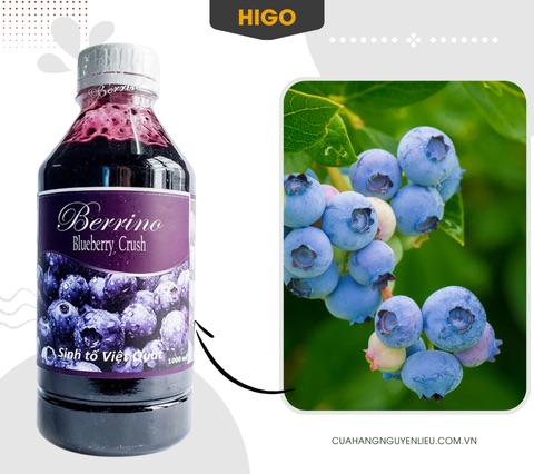 mứt sinh tố việt quất berrino