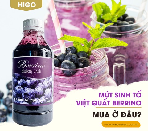 mua mứt sinh tố việt quất berrino ở đâu