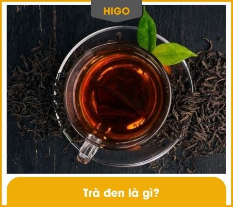 trà đen là gì