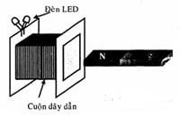Hình vẽ câu 1