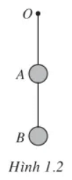 Hình vẽ câu 6