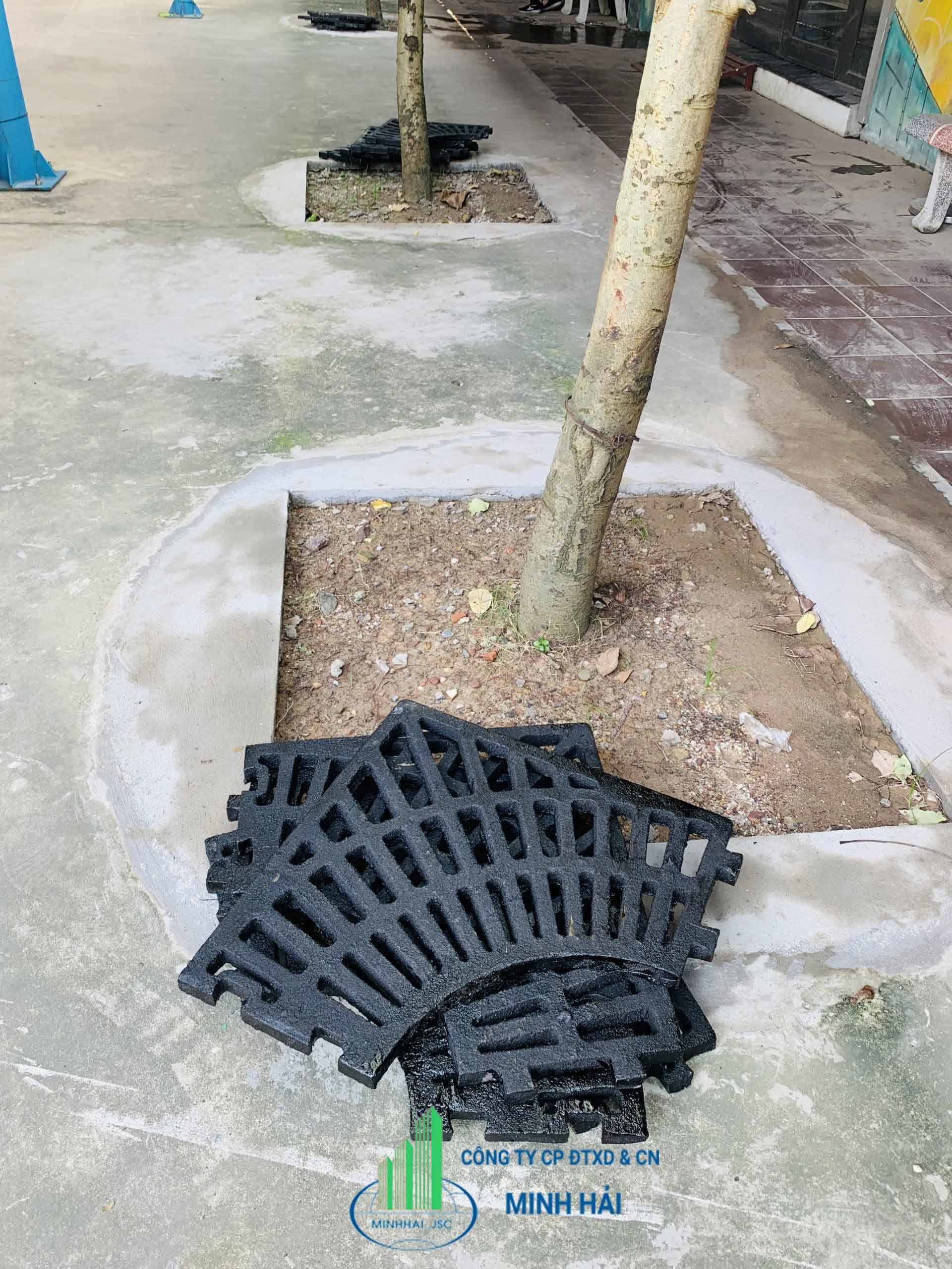 Ghi gốc cây gang 04 mảnh Minh Hải