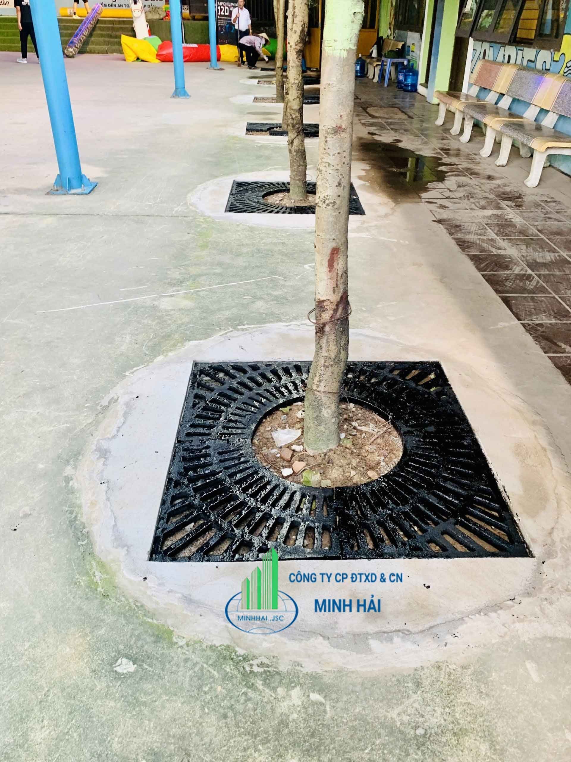 Ghi bảo vệ gốc cây gang