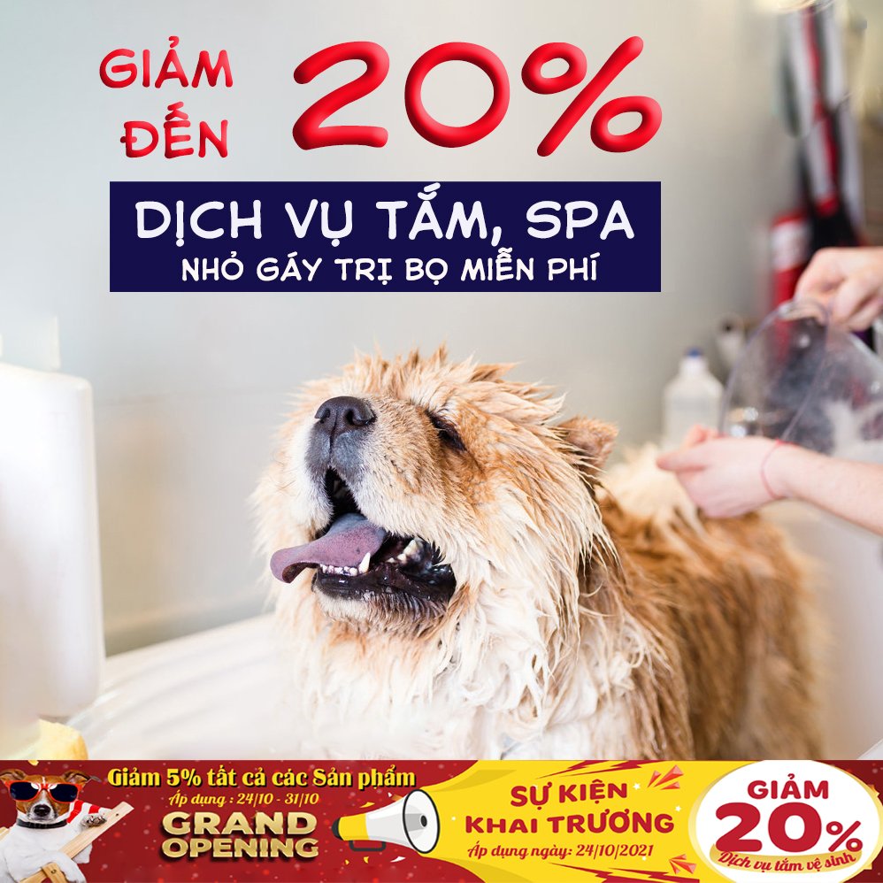 TƯNG BỪNG KHAI TRƯƠNG SALE SẬP SÀN - NGÀN QUÀ TẶNG.
