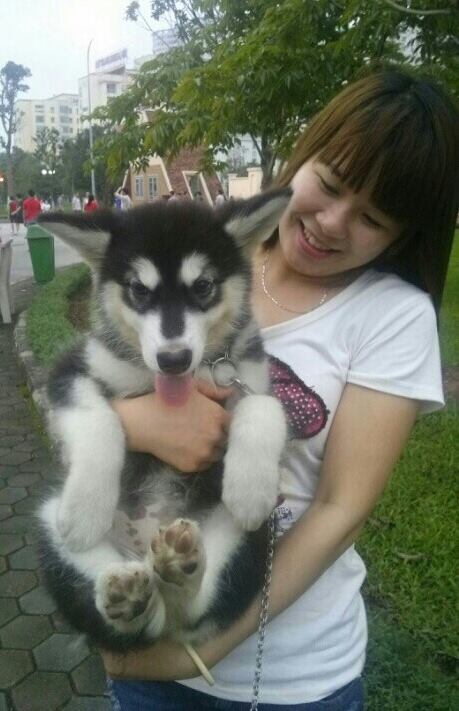 Bạn Ki nhà mình nè