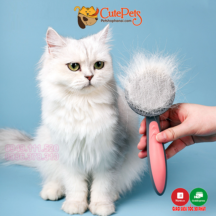 Lược chải lông rụng cho chó mèo cao cấp Pakeway T9 có nút bấm lấy lông - CutePets