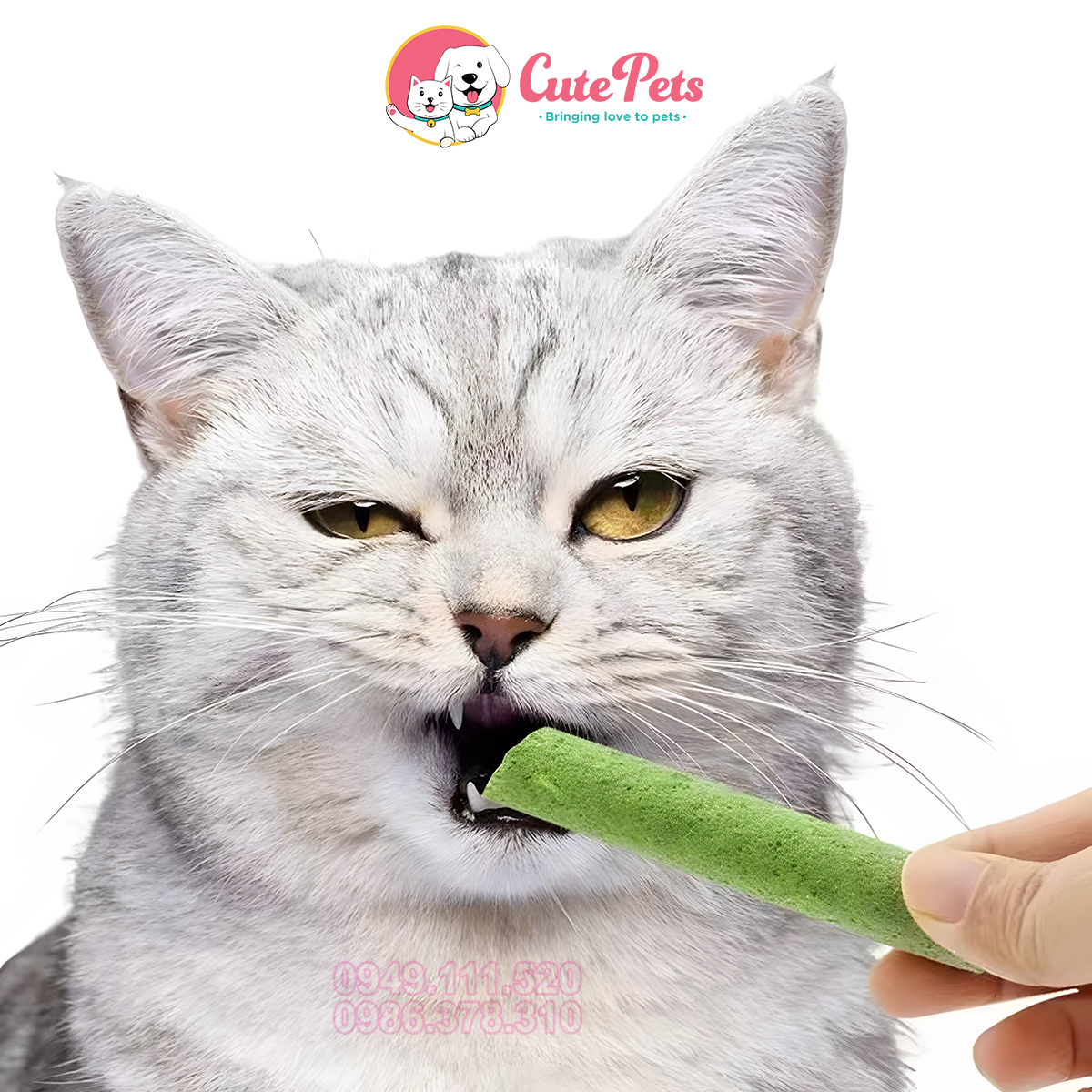 Thanh cỏ Mèo mix thịt gà 30g Tiêu búi lông cho mèo - Cutepets