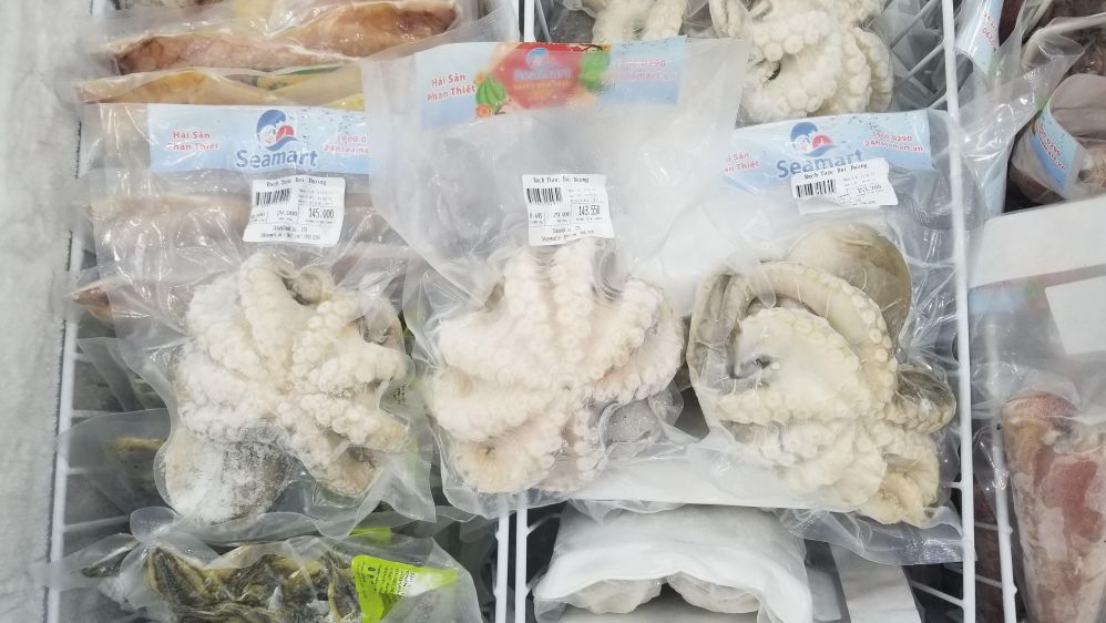 Bạch tuộc đại dương