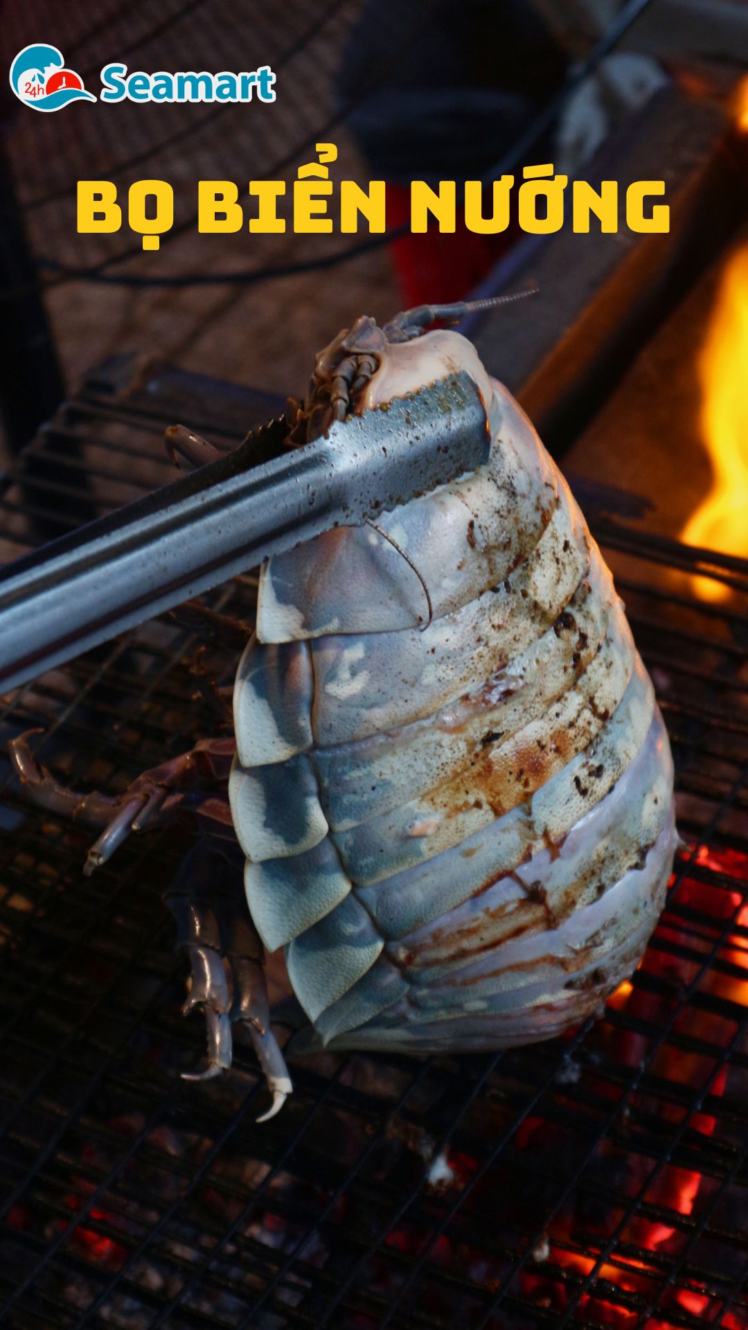 bọ biển nướng mọi tại 24hSeamart