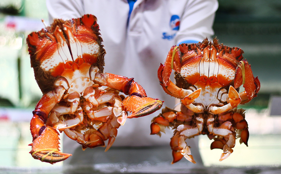 giá cua huỳnh đế sống thay đổi theo mùa