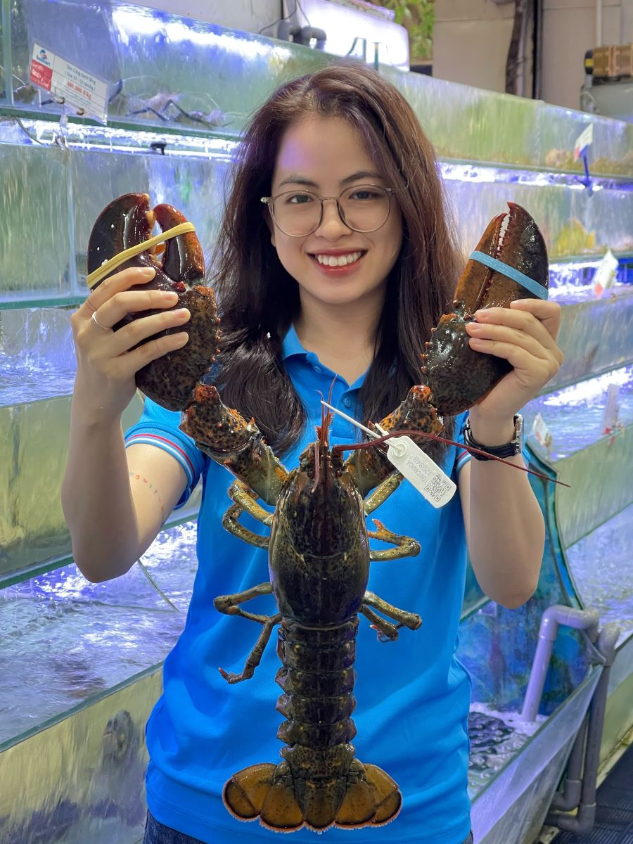 Tôm hùm Alaska sống hơn 2kg tại 24h Seamart