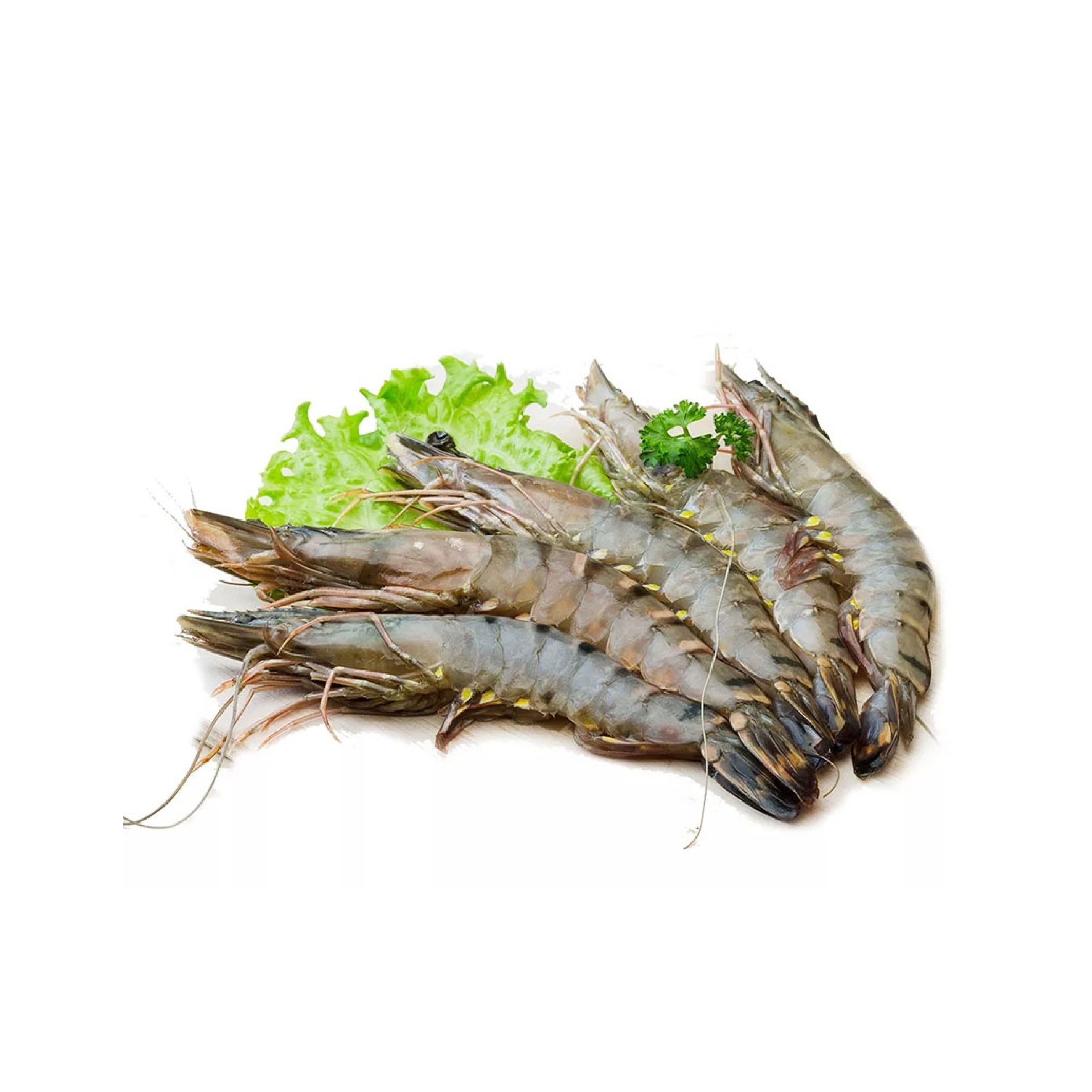 Nên lưu ý khi chọn tôm sú