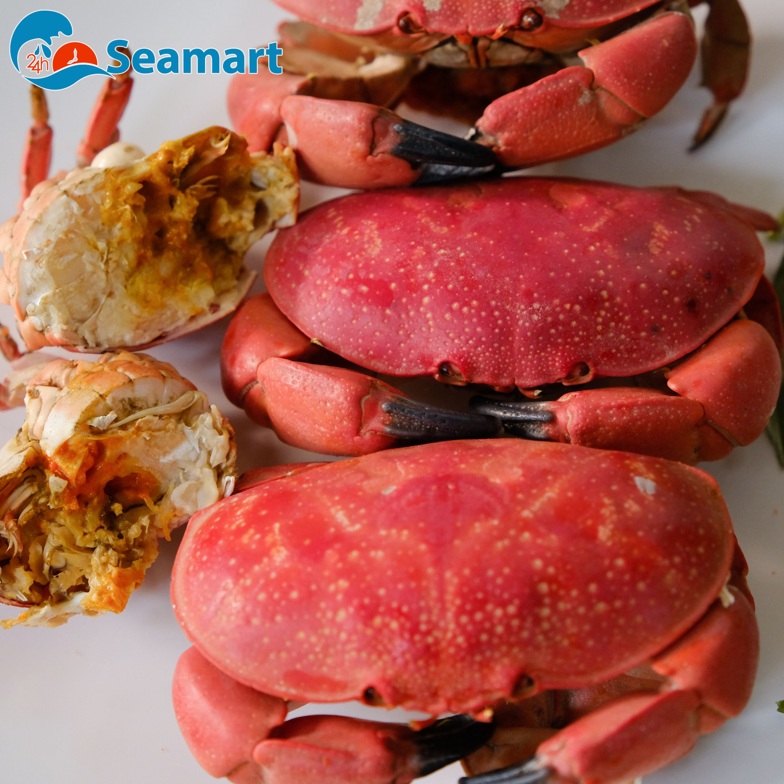 Thịt và gạch cù kỳ rất tốt cho sức khỏe