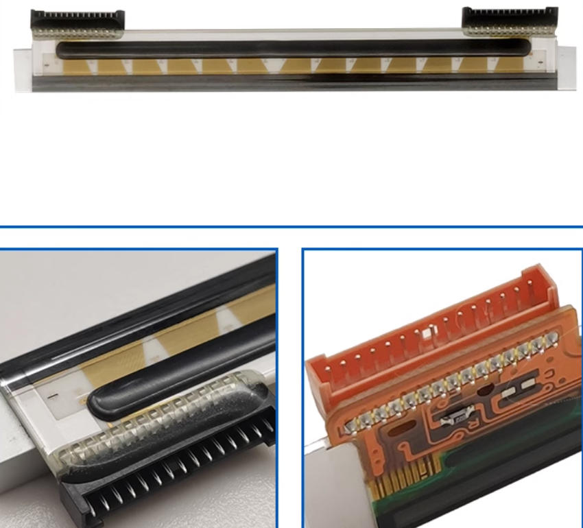 Đầu in mã vạch Zebra GT800 300Dpi chính hãng