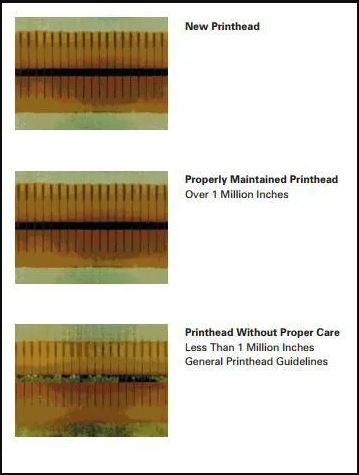 Đầu in máy in mã vạch Zebra ZT510 300Dpi