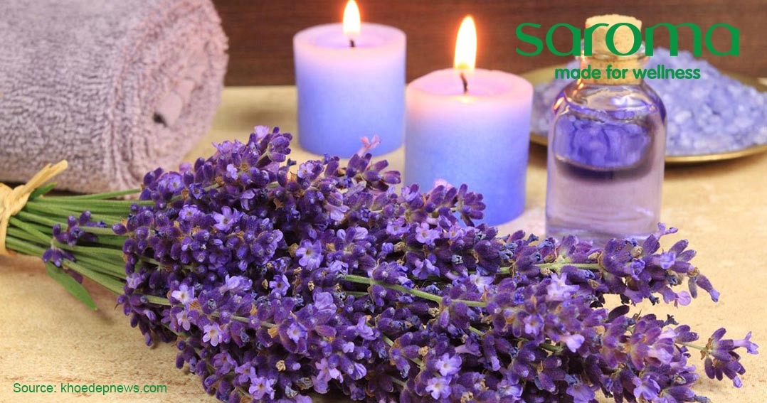 CÔNG DỤNG TUYỆT VỜI CỦA TINH DẦU OẢI HƯƠNG TRONG VIỆC CHĂM SÓC TÓC CÔNG DỤNG TUYỆT VỜI CỦA TINH DẦU OẢI HƯƠNG TRONG VIỆC CHĂM SÓC TÓC
