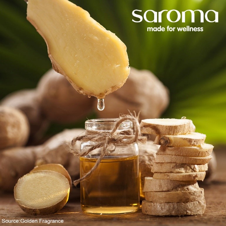 GINGEROL, MỘT CHẤT CÓ NHIỀU CÔNG DỤNG CHO SỨC KHỎE! GINGEROL, MỘT CHẤT CÓ NHIỀU CÔNG DỤNG CHO SỨC KHỎE!