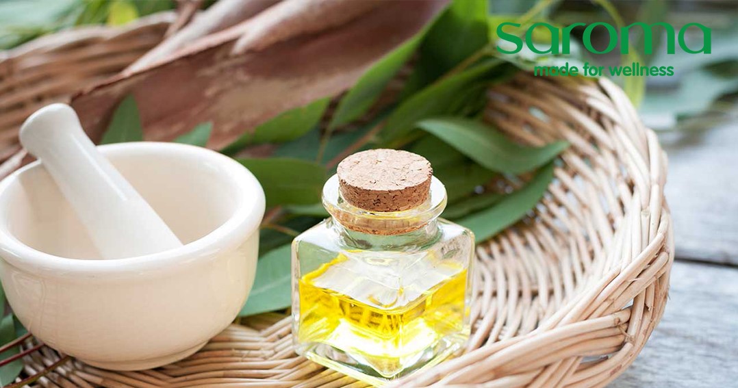 TINH DẦU BẠCH ĐÀN CHANH – THẦN DƯỢC QUÝ CHO MỖI GIA ĐÌNH TINH DẦU BẠCH ĐÀN CHANH – THẦN DƯỢC QUÝ CHO MỖI GIA ĐÌNH