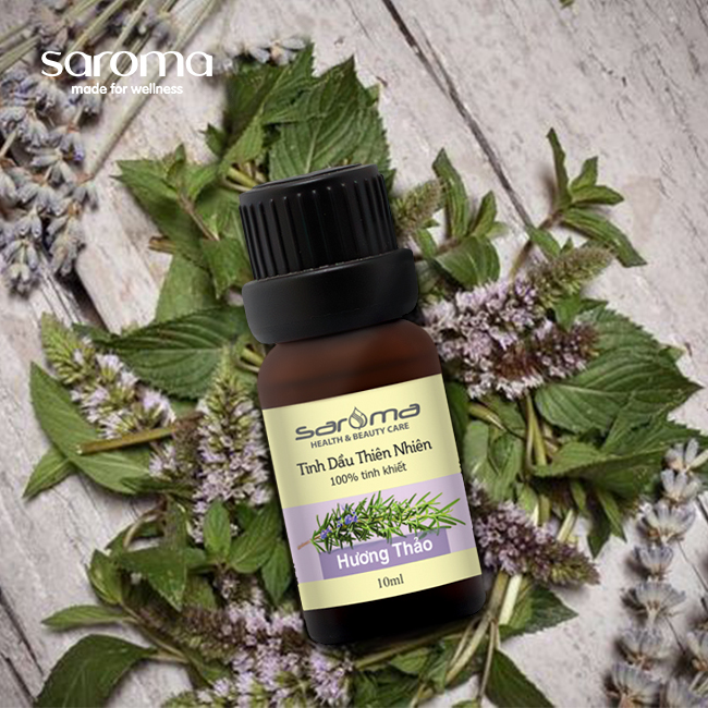 TINH DẦU HƯƠNG THẢO (ROSEMARY) TINH DẦU HƯƠNG THẢO (ROSEMARY)
