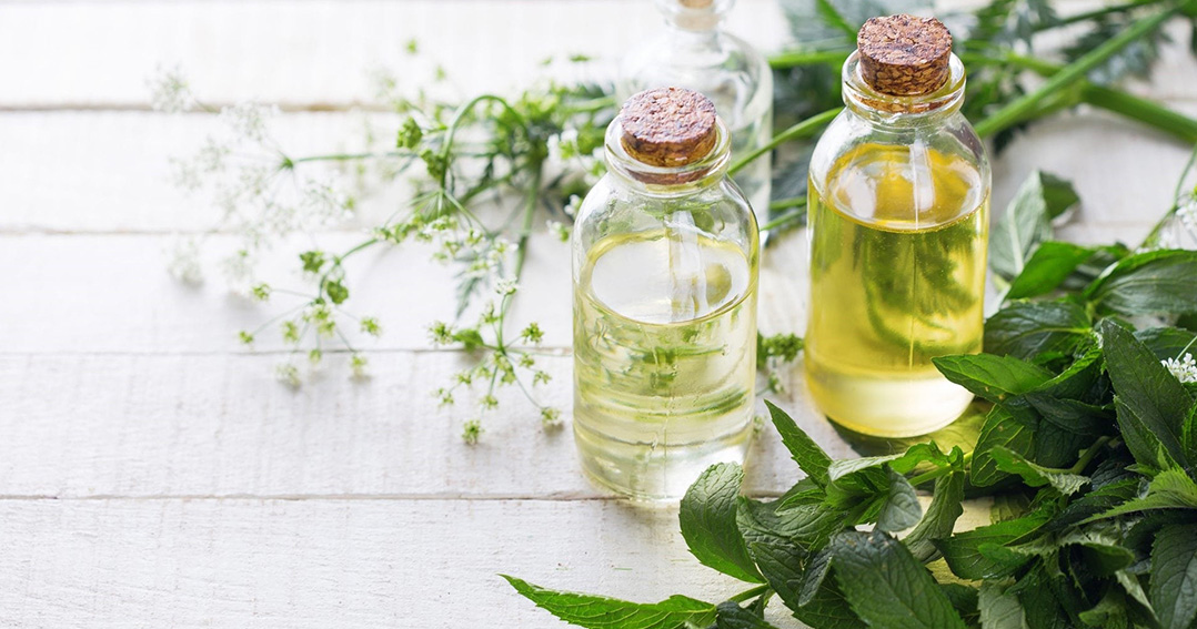 NHỮNG LOẠI TINH DẦU KHỬ MÙI, KHÁNG KHUẨN TỐT NHẤT HIỆN NAY NHỮNG LOẠI TINH DẦU KHỬ MÙI, KHÁNG KHUẨN TỐT NHẤT HIỆN NAY