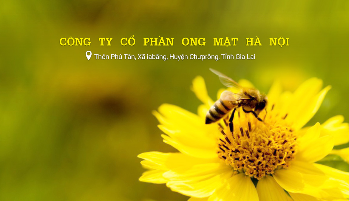 Mật ong Honey World