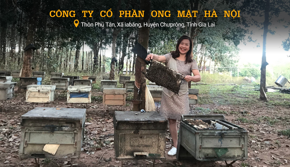 Mật ong Honey World