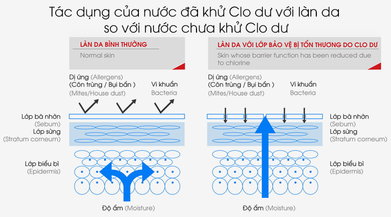 Máy lọc nước gắn vòi sen tắm Cleansui ES201W