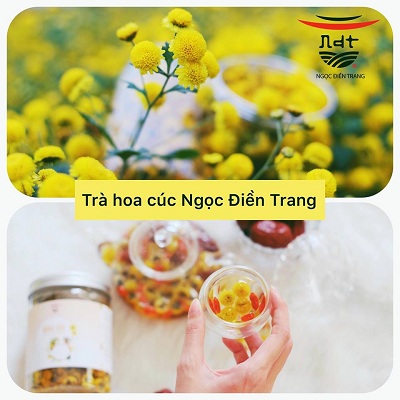 Giới thiệu hoa cúc Ngọc Điền Trang