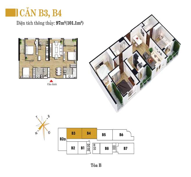 b3,b4-golden-palm